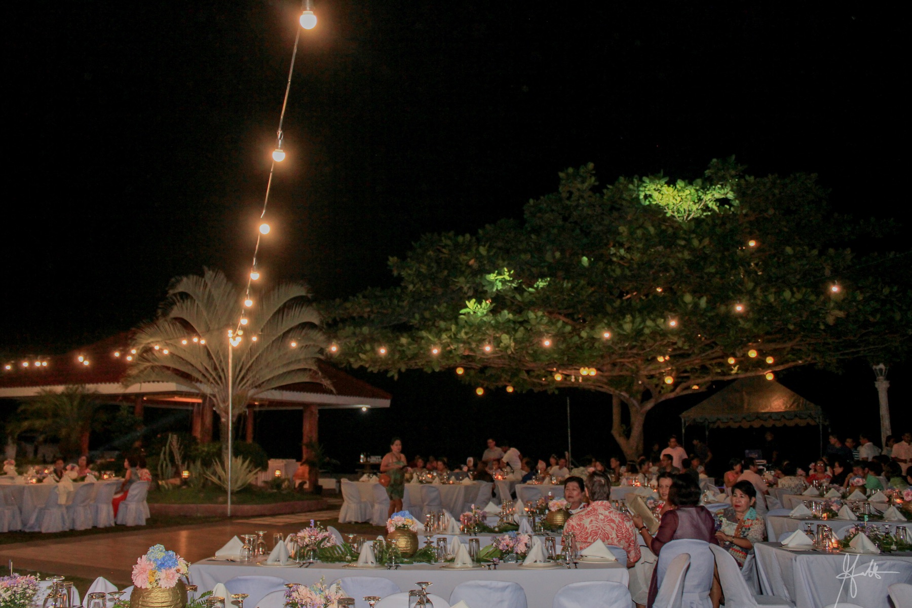 Evening reception beneath string lights and the Talisay tree
