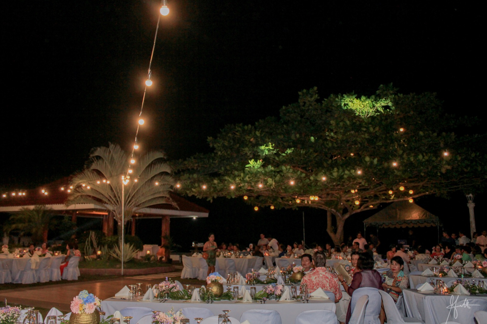 Evening reception beneath string lights and the Talisay tree